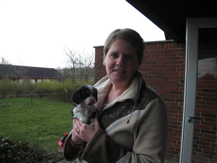 Cavalier king charles spaniel Petit - Petit og hendes nye "hundemor" billede 4