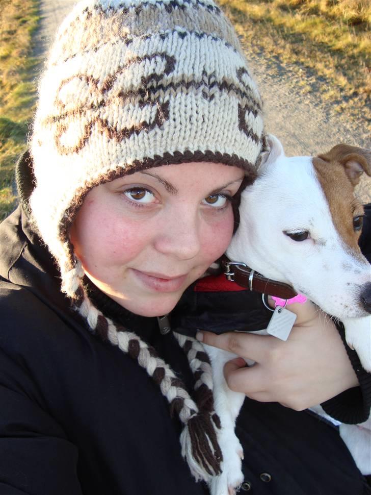 Jack russell terrier Thess - på gåturen den: 23 dec billede 18