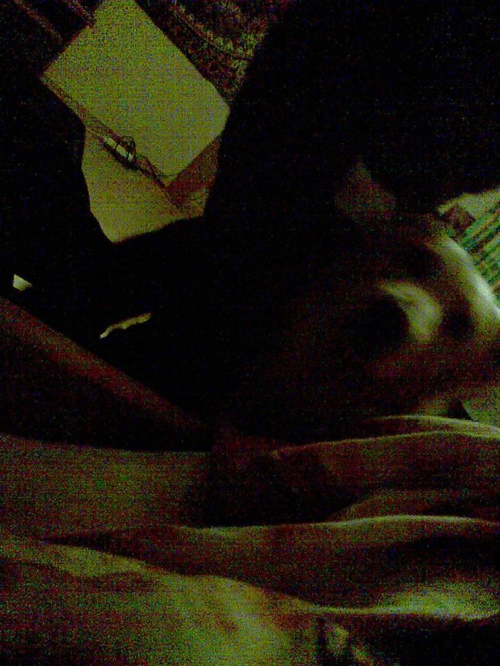 Golden retriever bmse billede 6