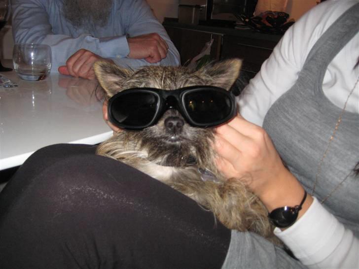 Blanding af racer Audi - what´s up vil du med ud og køre på min bike billede 1