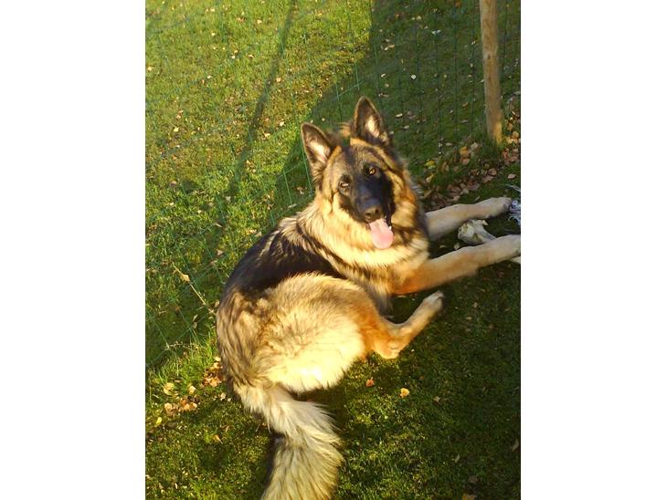 {{currentPhoto.altText}} billede {{currentPhoto.number}}