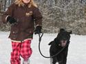 Labrador retriever Walder (Rest in Peace)