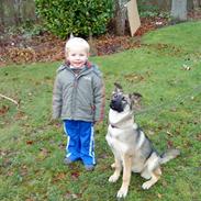 Blanding af racer Simba