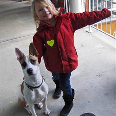 Blanding af racer græsk lea R.I.P 30.12.09 