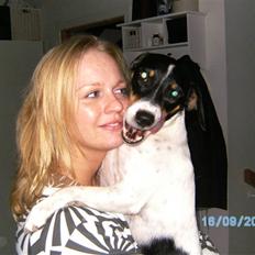 Dansk svensk gaardhund Balue