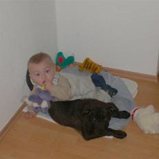 Blanding af racer Laban