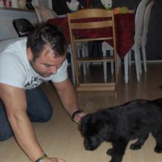 Blanding af racer Rossi