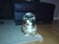Shih tzu Buffy - Elsker bare min sut !!!