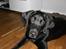 Labrador retriever Frede