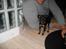 Dvaergpinscher Rødkildes Scirocco - Lige kommet hjem til min nye mor og far
