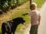 Labrador retriever tøsen R.I.P min dejlige - en af mine brødre syntes bar det var et godt billede af de to  :)