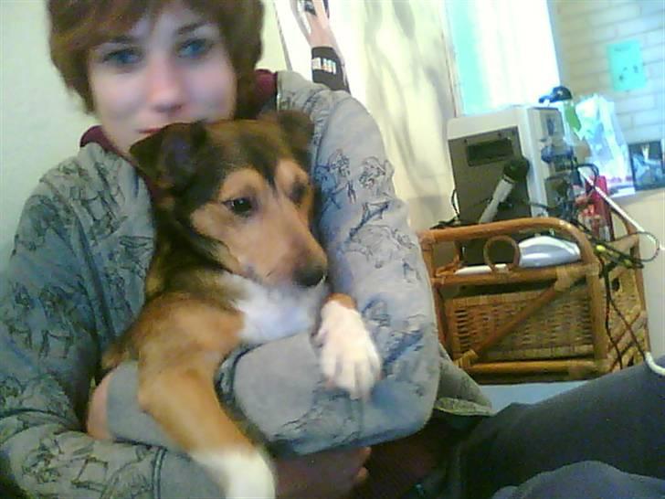 Blanding af racer Mikki - <3 billede 6