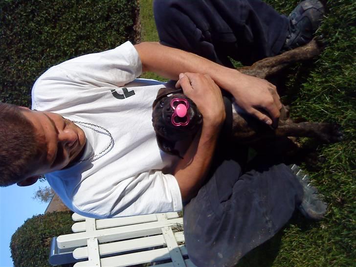 Blanding af racer Taco billede 5