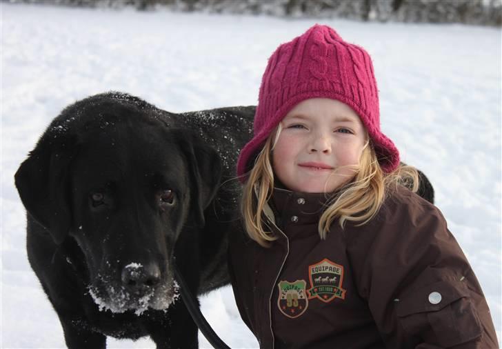 Labrador retriever Walder (Rest in Peace) - Walder & Signe til juleafslutning i DCH Fladså 2010 :). billede 6