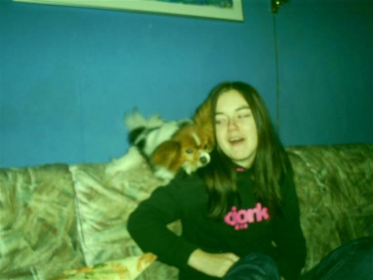 Papillon luffe - Luffe og Nicholine billede 10