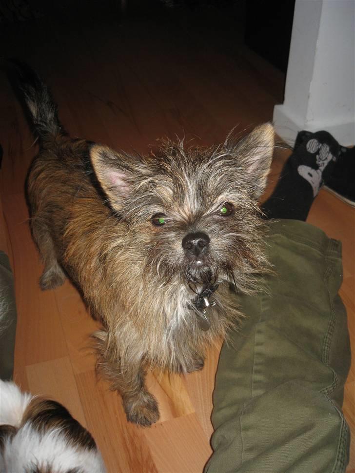 Blanding af racer Audi billede 8