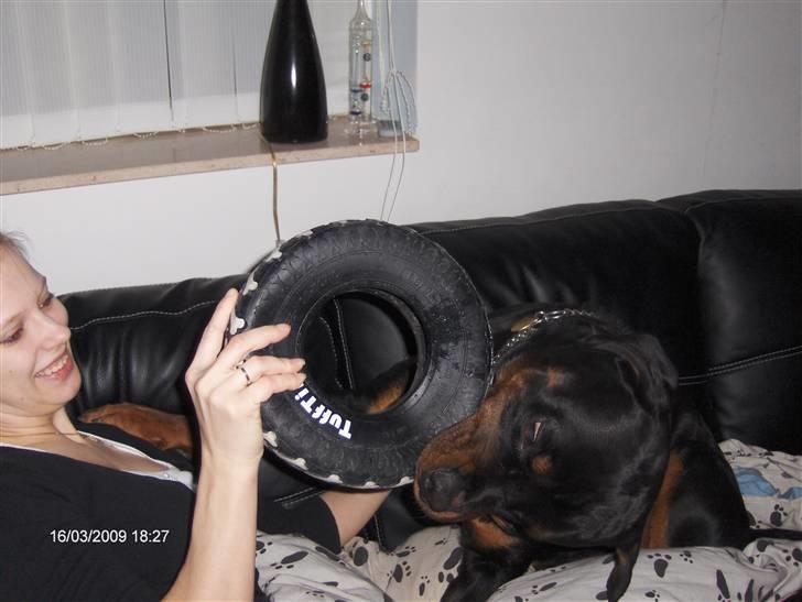 Rottweiler Tayson - Leger med mor..:) billede 3