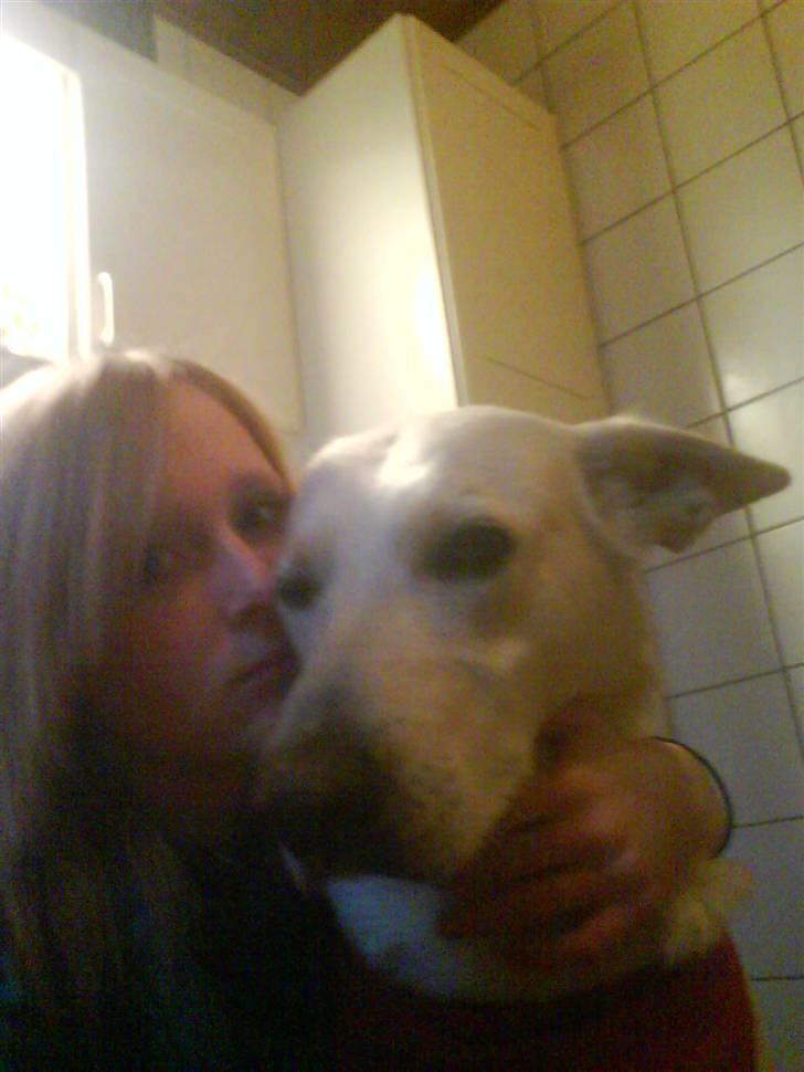 Hvid schæfer Amanda <3 - Nanna og Amanda (;<33 billede 13