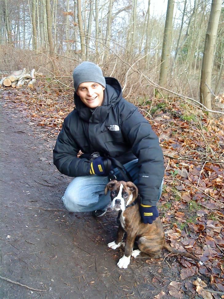 Boxer Aslan - så er vi blevet 13 uger & på første skovtur :) billede 7