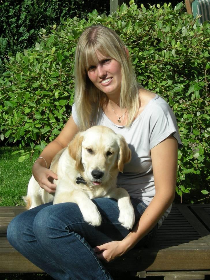 Golden retriever Emma  billede 6