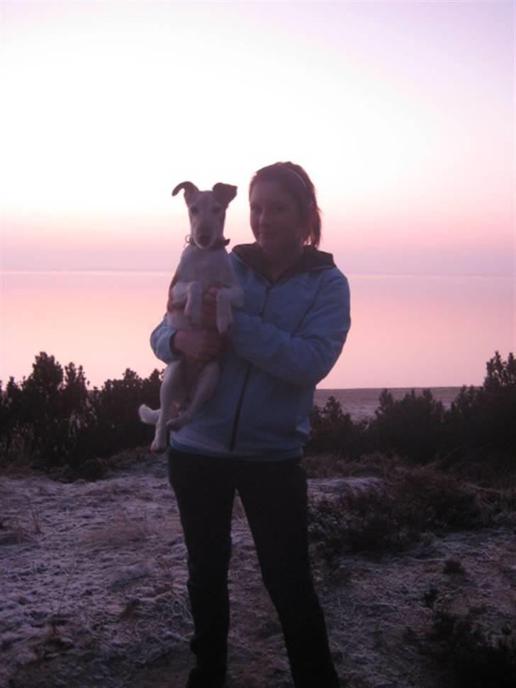 Glathåret foxterrier Sille - R.I.P min lille skat - Mig og sille ved stranden i Marbæk, kort tid før det blev mørkt. Ikk tag jer af mig, hehe. billede 12