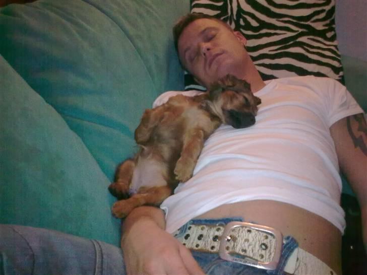 Blanding af racer kiwi - SÅ FALD VI BEGGE OM HE HE HE  billede 6