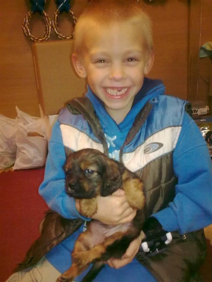 Blanding af racer kiwi - dette er taget den dag vi var oppe og kigge på hende føste gang billede 9