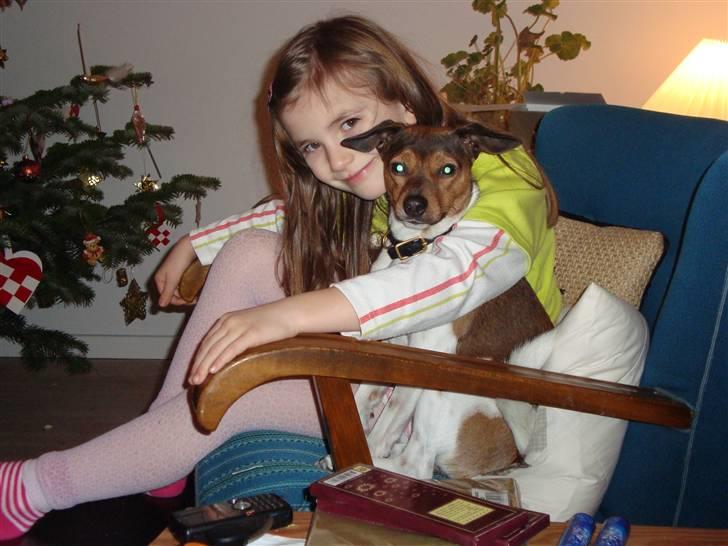 Dansk svensk gaardhund Lucky. RIP! (L) billede 9