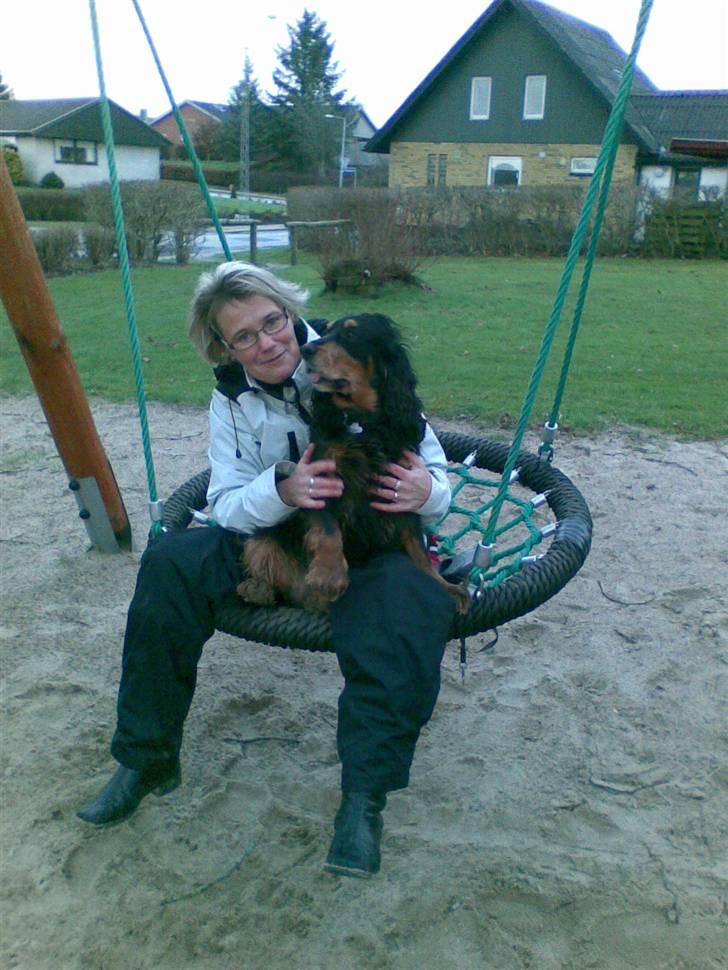 Cocker spaniel Futte AFLIVET :'(  billede 7