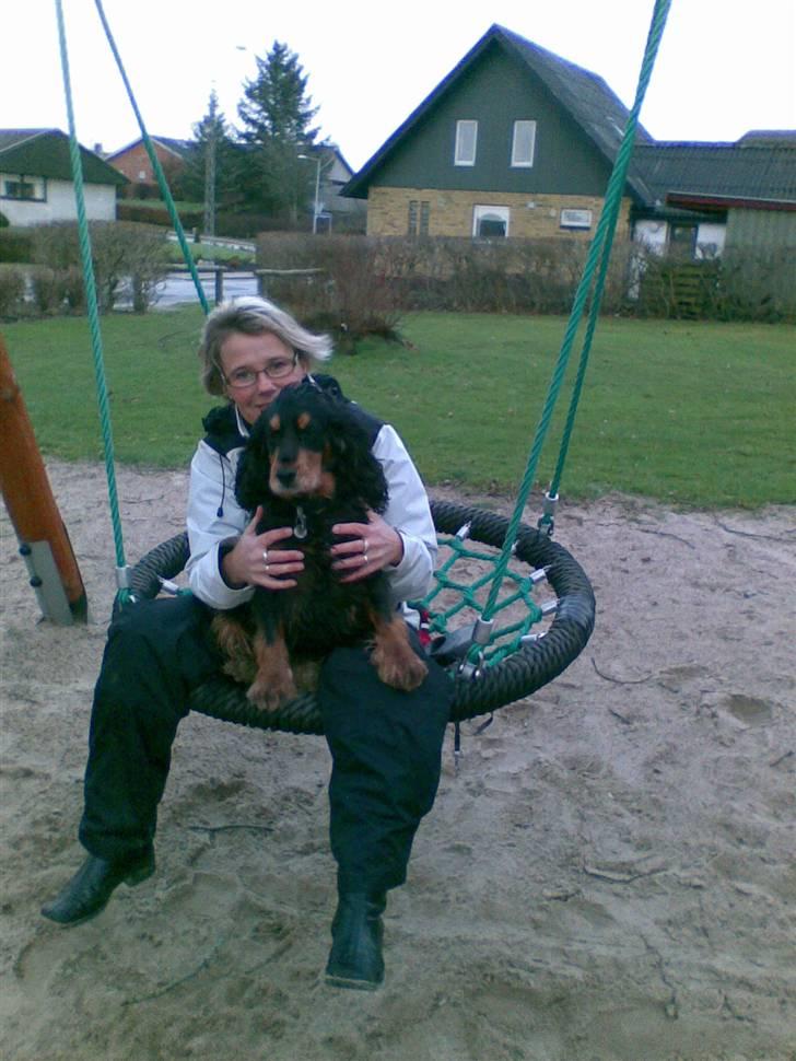 Cocker spaniel Futte AFLIVET :'(  billede 8