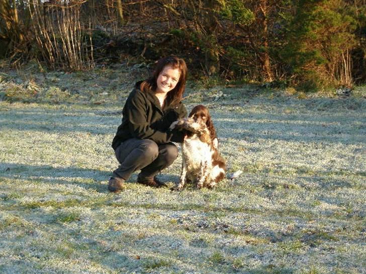 Engelsk springer spaniel Diamond ring star light - Mig og mor=) billede 18