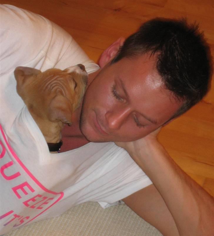 Blanding af racer Nala - Man kan jo hurtigt komme ind i den varme t-shirt ved Dennis.. billede 3