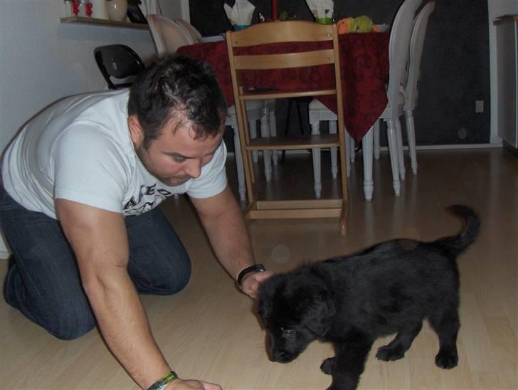 Blanding af racer Rossi - Så er der lidt leg med far*s* billede 3