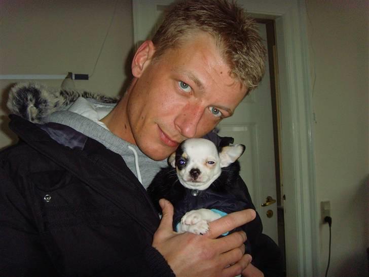 Chihuahua Charlie (Pirat Jack) - To a mine dejlige fyre billede 5