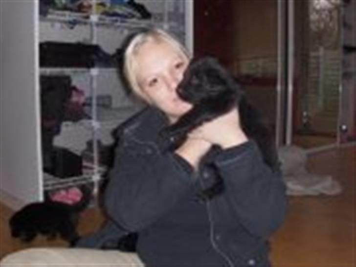 Blanding af racer Rossi billede 7