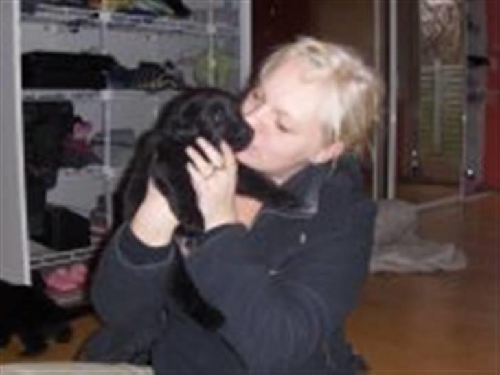 Blanding af racer Rossi billede 8