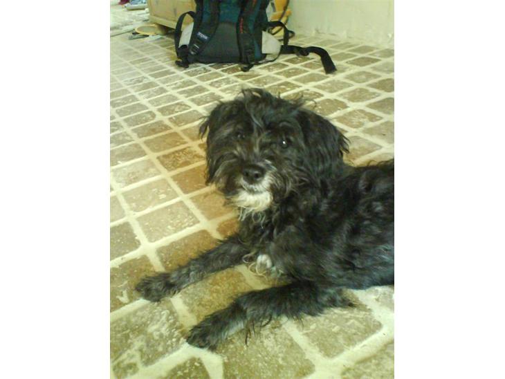 {{currentPhoto.altText}} billede {{currentPhoto.number}}