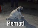 Kangal memati