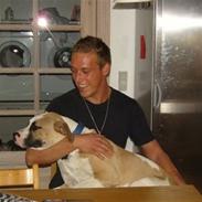 Amerikansk bulldog Tyson