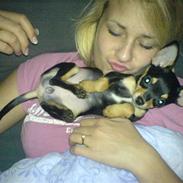 Blanding af racer Bailey