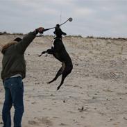 Blanding af racer Kaliff