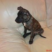 Blanding af racer pixi <3 R.I.P.<3