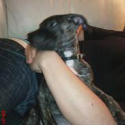 Blanding af racer pixi <3 R.I.P.<3