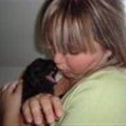 Fransk bulldog Rocky