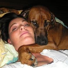 Rhodesian ridgeback Nala