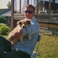 Collie langhåret Simba