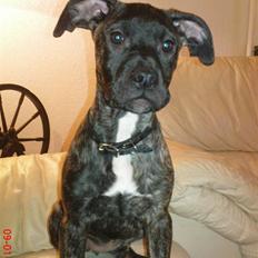 Blanding af racer pixi <3 R.I.P.<3