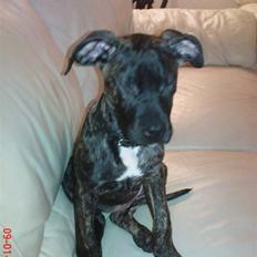 Blanding af racer pixi <3 R.I.P.<3