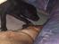 Labrador retriever cherri - sover ved siden af en god ven