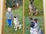 Blanding af racer Simba - Lavet af mor til Blanding af racer Tyson - 2005